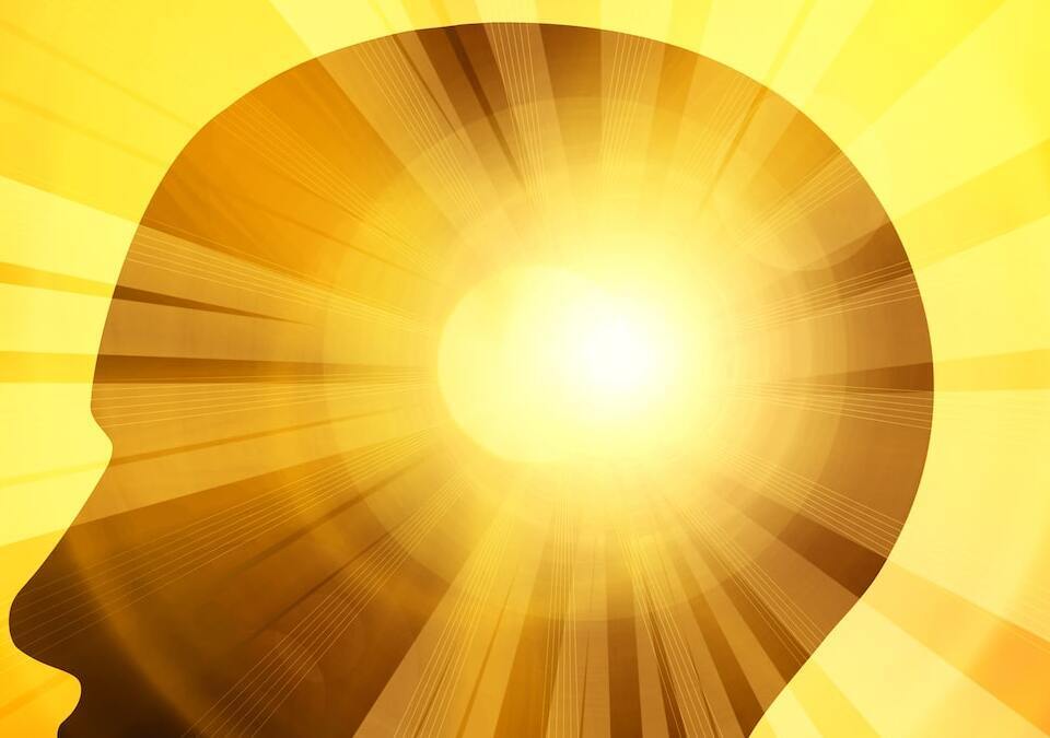 Your Brain on Exercise